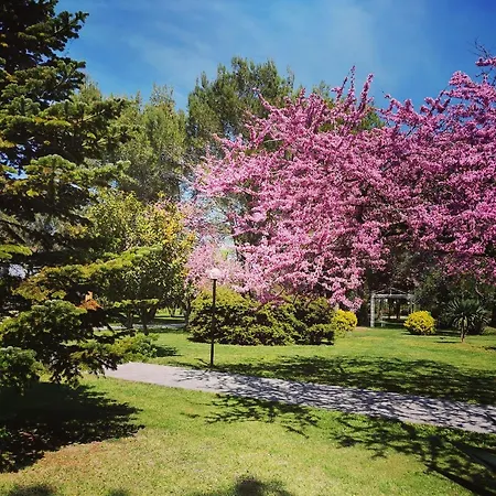 Séjour à la ferme Park Divjake