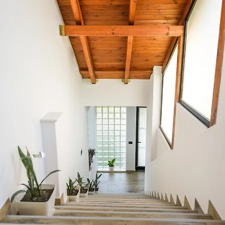 Park Vakantieboerderij