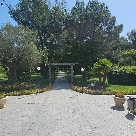 Park * Divjake