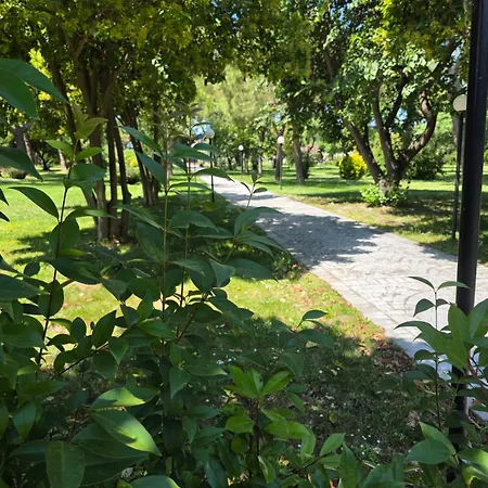 Park *