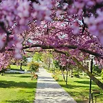 Park Bauernhof Divjaka