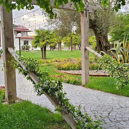 Green Park Divjake