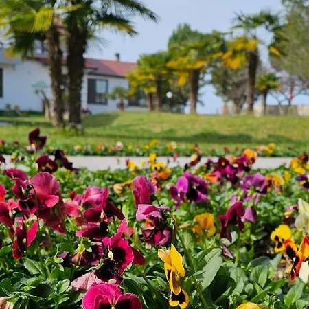 Park Çiftlik konaklama