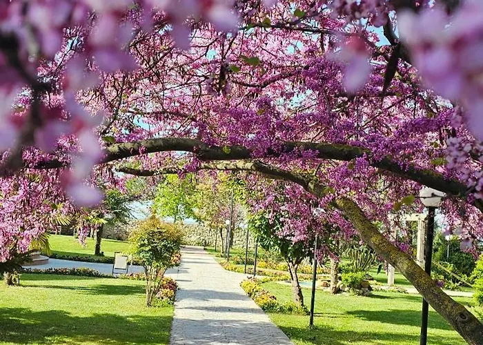 Park 农家乐 迪夫亚卡